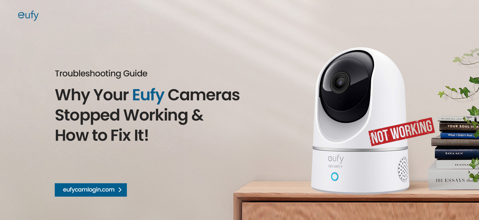 Eufy Cameras Stopped Working